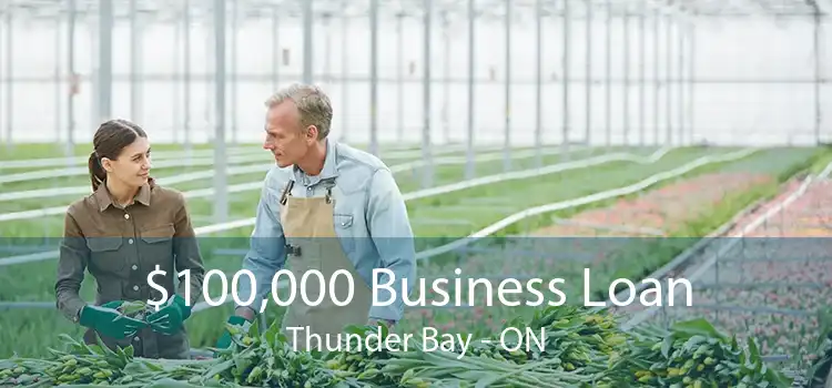 $100,000 Business Loan Thunder Bay - ON