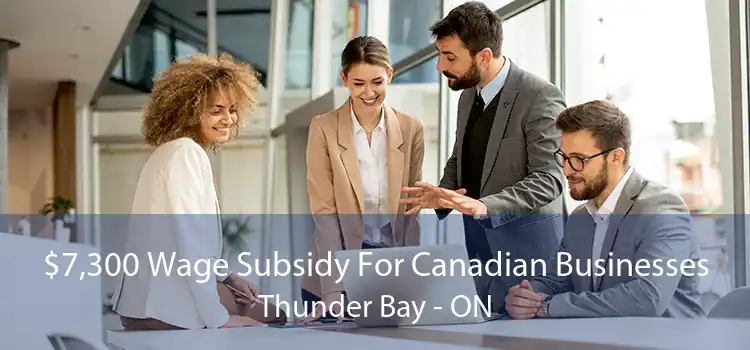 $7,300 Wage Subsidy For Canadian Businesses Thunder Bay - ON