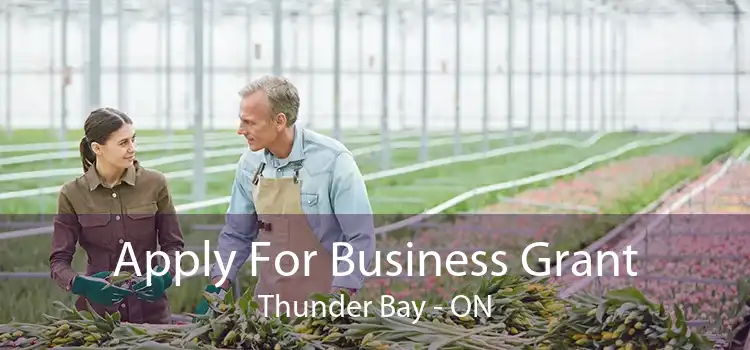 Apply For Business Grant Thunder Bay - ON